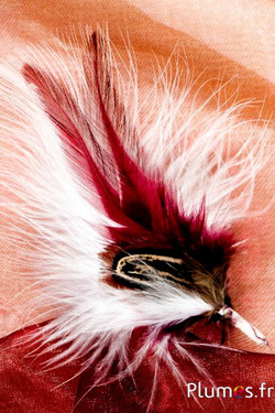 Composition coq-faisan -  12 cm x 3 cm - blanc-bordeaux